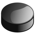 Icon Hockey Puck