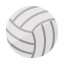 Icon Volleyball