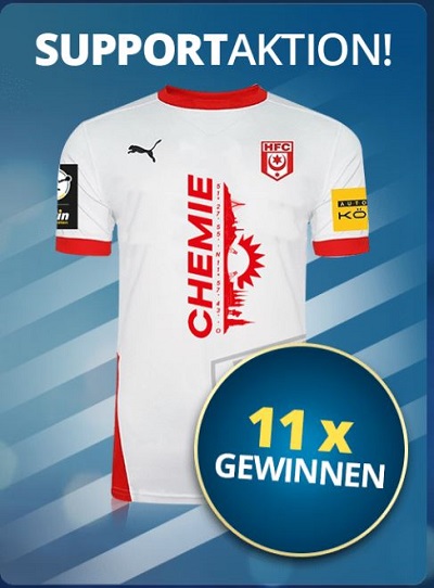 sunmaker sondertrikot hallescher fc