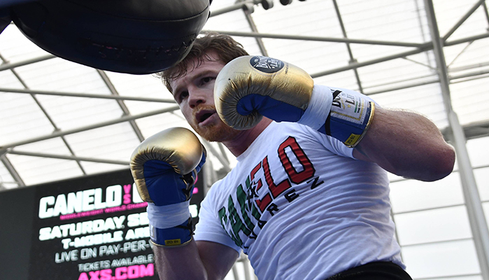 canelo vs bivol