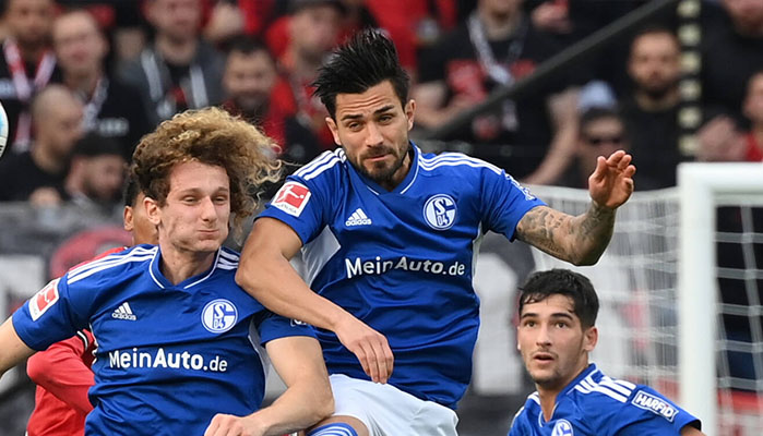 Schalke Hoffenheim Tipp Prognose