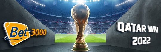 Bester WM 2022 Wettanbieter