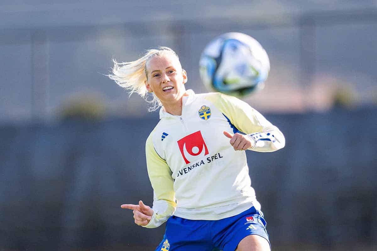 Schweden Südafrika Prognose Tipp