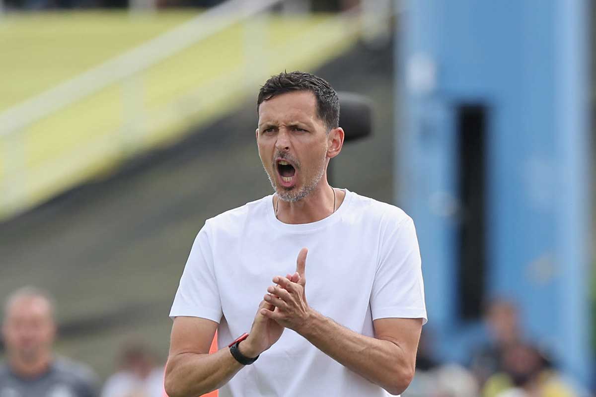 Dino Toppmöller / Frankfurt Darmstadt Tipp Prognose