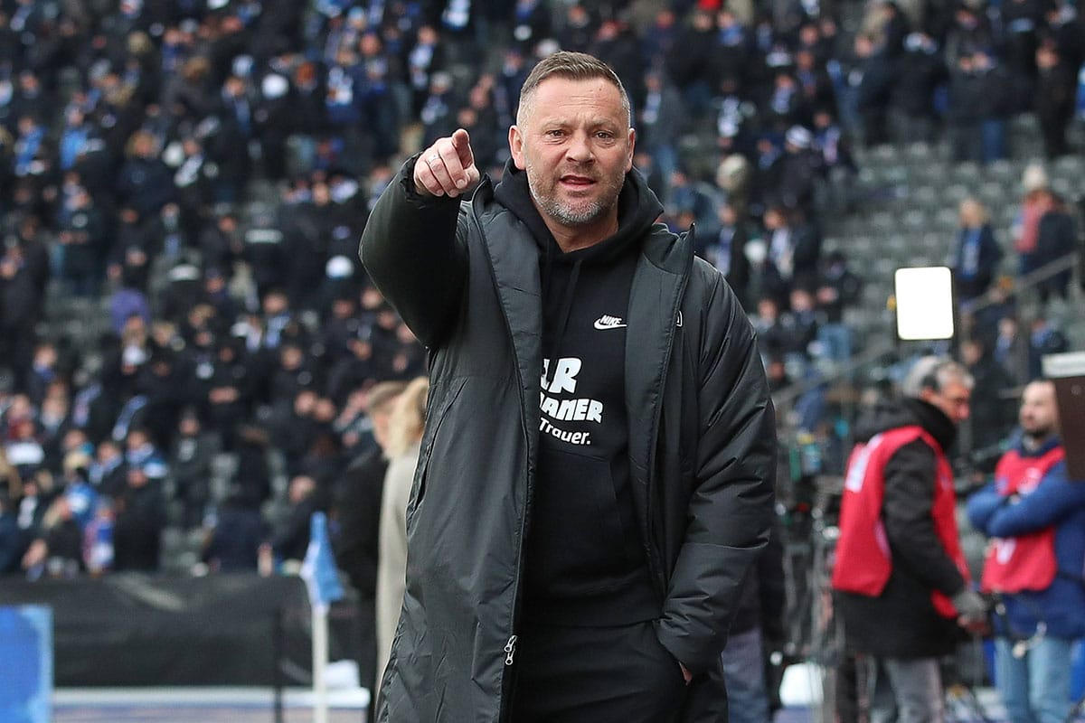 Pal Dardai / Hertha Lautern Tipp Prognose